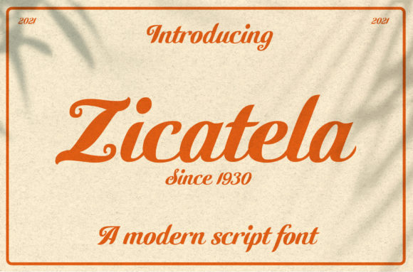 Zicatela Font: A Bold Handwritten Typeface for Craft Projects